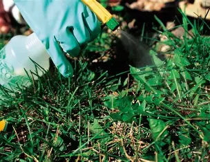 Гербициды от сорняков