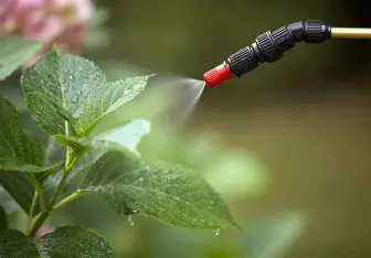 Инсектициды от вредителей