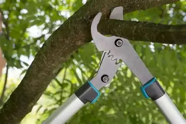 Секаторы/Сучкорезы