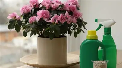 Удобрения для цветов