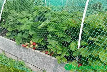 Сетка для защиты растений