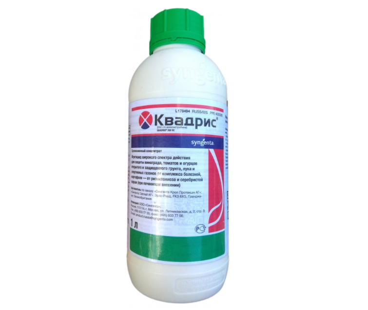 Квадрис