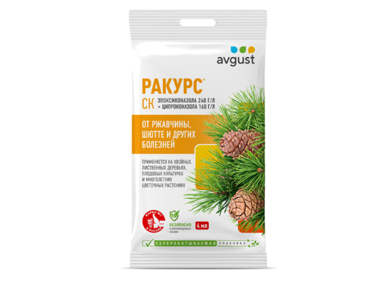 Ракурс