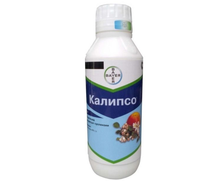 Калипсо