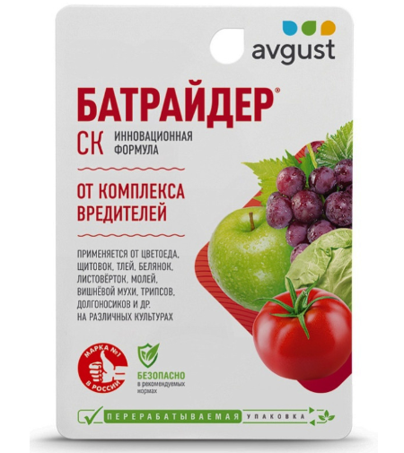 Батрайдер