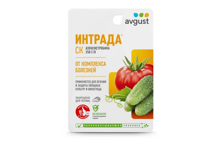 Интрада