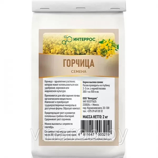 Горчица
