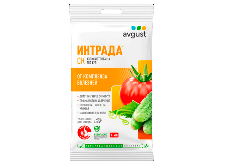 Интрада